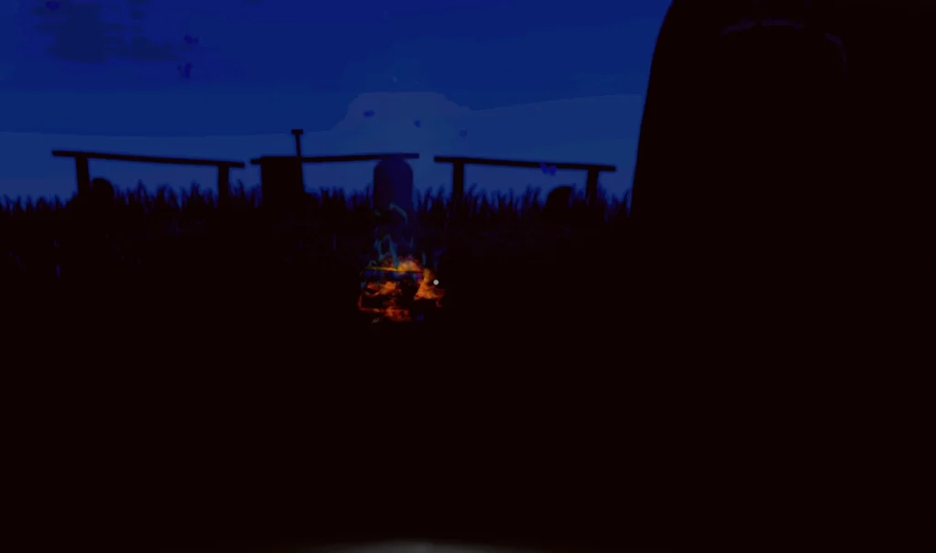 dark night