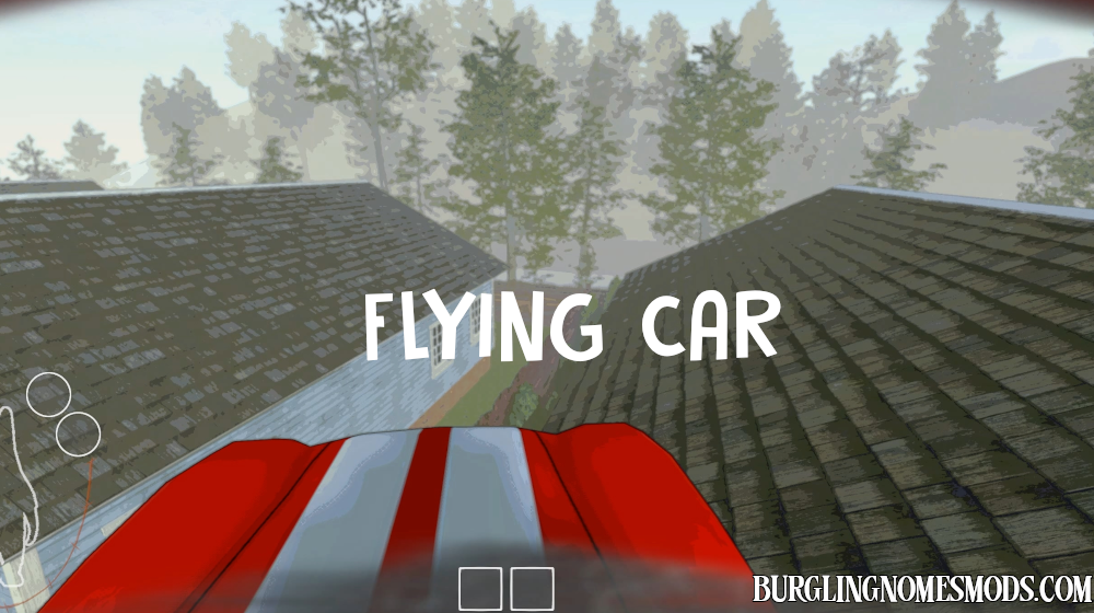 flying car