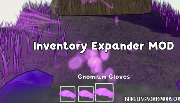 Inventory Expander mod