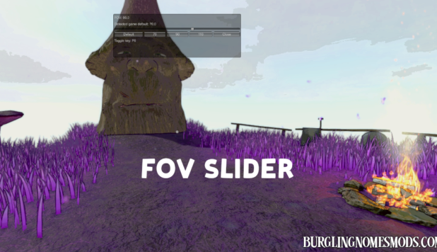 FOV Slider mod